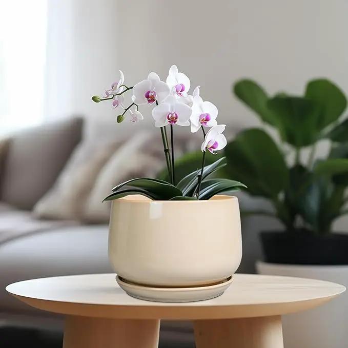 G EPGardening Ceramic Planter - 7 Inch Plant Pots with Drainage and Ceramic Tray, Flower Pots for Indoor Plants, Round Outdoor Planter, Room Decor, Gifts for Plant Lovers, Beige by GreenHaven Gardens