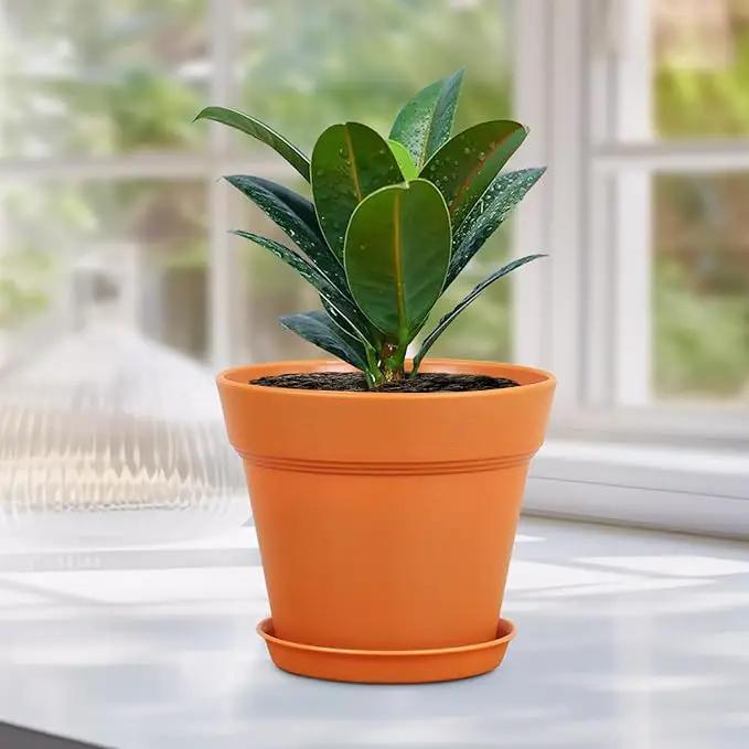 6 inch Small Plastic Nursery Pots, Seedling Pots, 16 Pack Plant Pots for Indoor Outdoor Plants, Flower Pots with Drainage Holes and Saucers, Decorative Planters for House Plants, Terracotta by GreenHaven Gardens
