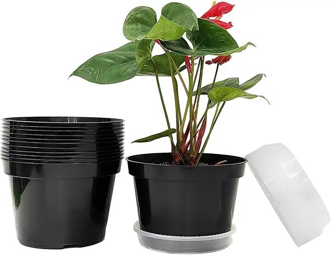 12 Pack Plant Pots, 8 Inch Plant Planter with Clear Saucer, Plastic Pots for Plants Indoor and Out Door Such as Strawberry, Herb and Flowers (Black) by GreenHaven Gardens