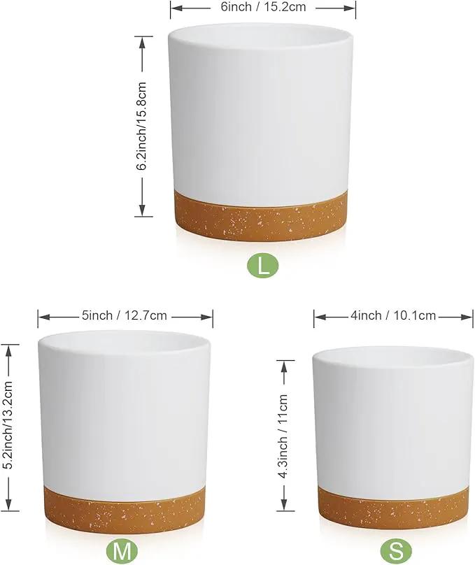 3 Pack 6/5/4 inch Cylindrical Flower Pots, Modern Small Round Plastic Plant Pots with Drainage Holes & Saucers, Clean and Refined Planter Pots for Outdoor, Indoor & Office Decor (White Brown) by GreenHaven Gardens