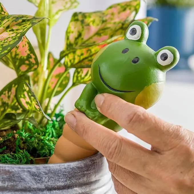 Kaxich Terracotta Plant Self Watering Spikes, 4 Pack Plant Watering Globes Frogs Styles Decorative Self Plant Watering Stakes Vacation Plant Watering Bulbs for Indoor Outdoor Plants by GreenHaven Gardens