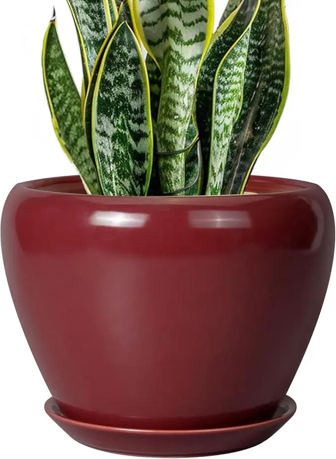 Ceramic Planter - 8 Inch Plant Pot Indoor with Drainage Hole and Saucer Planter for Outdoor Plants Round Flower Pot for House Patio Decor Red by GreenHaven Gardens