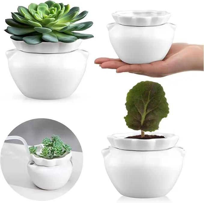 4 Set 4 Inch African Violet Pots Self Watering White Ceramic Planter Highly Absorbent Inner Planter Pot for Indoor Plants Plant Lovers Ideal Plant Pot Thriving Plant Flower Maintenance by GreenHaven Gardens