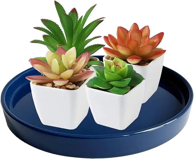 2 Pack Ceramic Plant Saucer Pot Tray 8 Inch, Planter Saucers 4 5 6 7 8 9 10 11 12 Inch for Indoors Outdoor, Durable Sturdy Flower Drainage Tray for Glazed Pots Base (8.5 Inch Blue) by GreenHaven Gardens