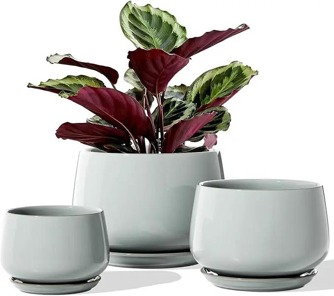 LE TAUCI Plant Pots for Indoor Plants, 4.1+5.1+6.5 inch, Set of 3, Ceramic Planters with Drainage Hole and Saucer, Indoor Flower Pot with Hole Mesh Pad, Gifts for Mom, Reactive Glaze Blue Gray by GreenHaven Gardens