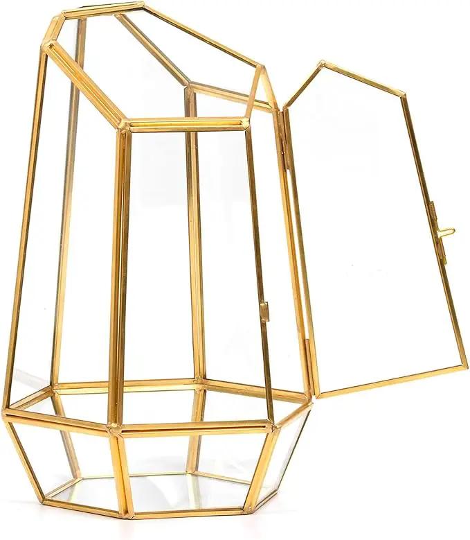 Golden Geometric Glass Terrarium with Door - 9.8" Tall Irregular Clear Planter for Succulents,Ferns,Moss,Cacti | Indoor Fairy Garden,Tabletop Display,Wedding Home Decoration (Plants Not Included) by GreenHaven Gardens