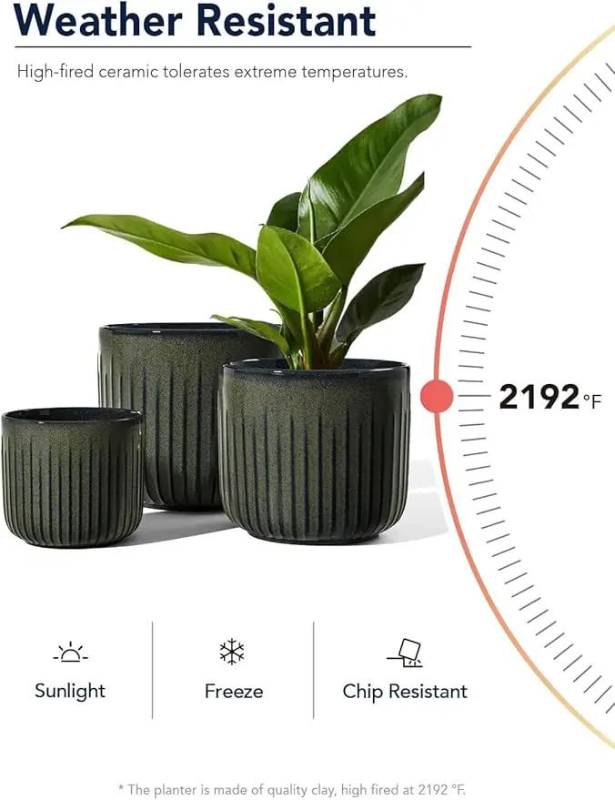 LE TAUCI Fluted Ceramic Planters Set of 3 – 8.3/7 / 5.7 in Dark Olive Reactive Cylinder Indoor Plant Pots with Drainage Plug & Mesh, Glossy Stoneware Flower Pots for Succulents Herbs by GreenHaven Gardens