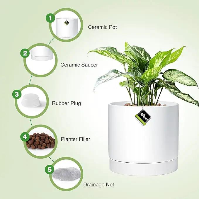 Aveyas 10 inch Ceramic Plant Pot with Drainage Hole and Saucer - Suitable for Indoor and Outdoor Use, Modern Planters for House Garden Flower Tree Snake Monstera Plants (10", Matte White) by GreenHaven Gardens