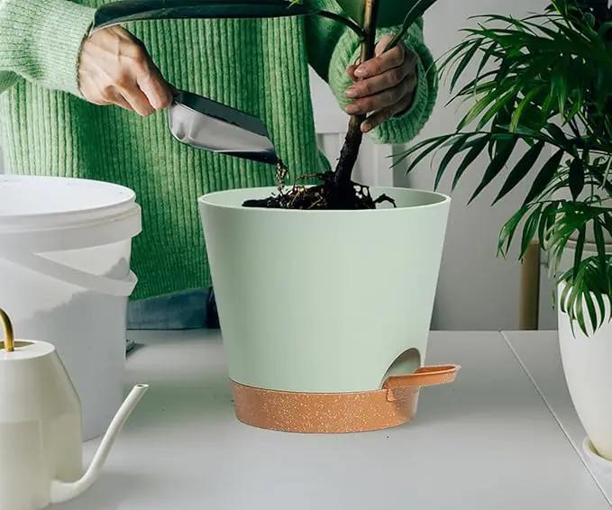 Self Watering Green Plastic Plant Pot Flower Planters with Drainage Hole And Deep Reservoir Large Planting Pots for for All Houseplants,Succulent, African Violets, Flowers and Cactus 12Inch/2pcs by GreenHaven Gardens