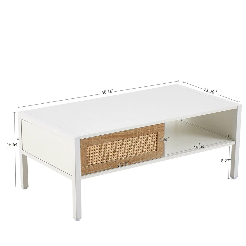 40.16" Rattan Coffee Table, Sliding Door For Storage, Metal Legs, Modern Table For Living Room by Unique Piece Furniture