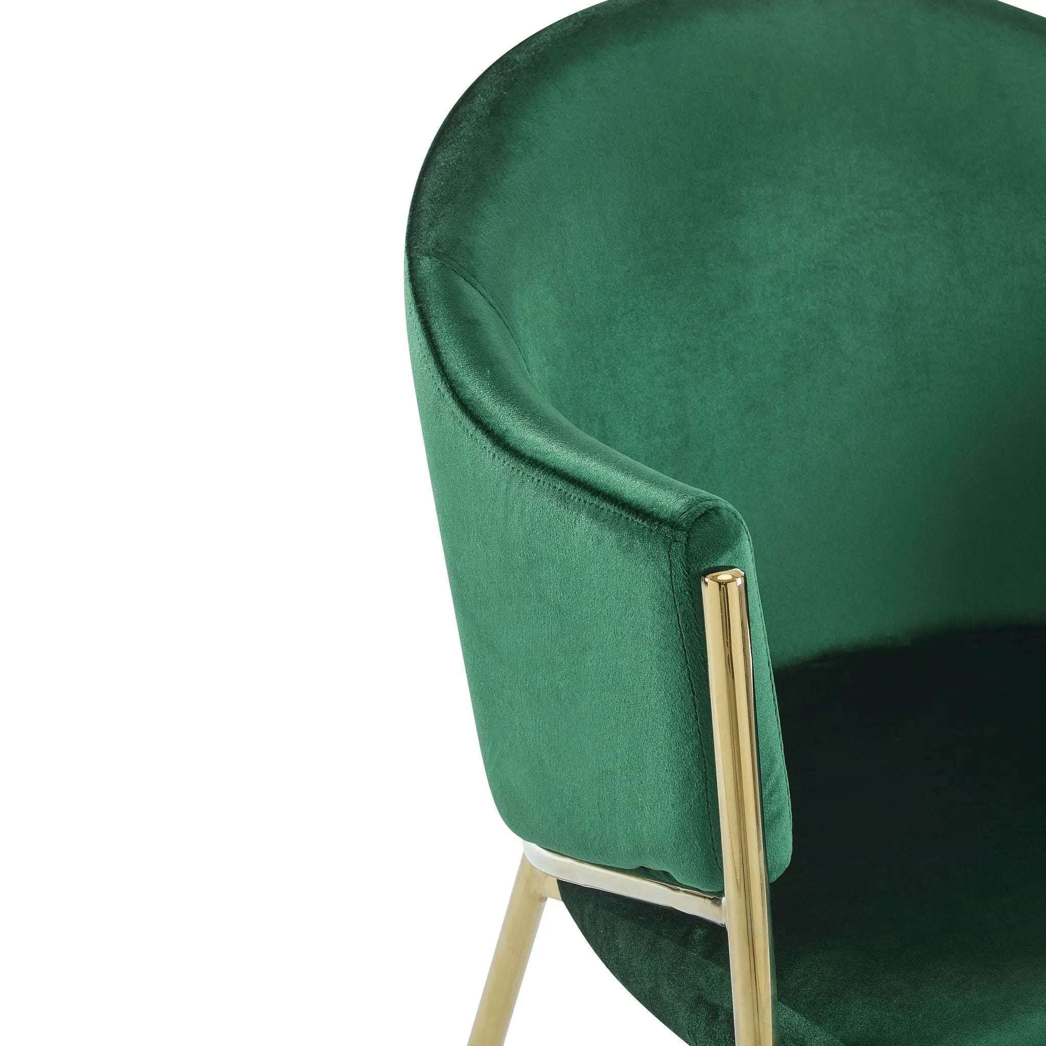 Modern Upholstered Dining Chair with Gold Metal Frame by HouseOfZazla