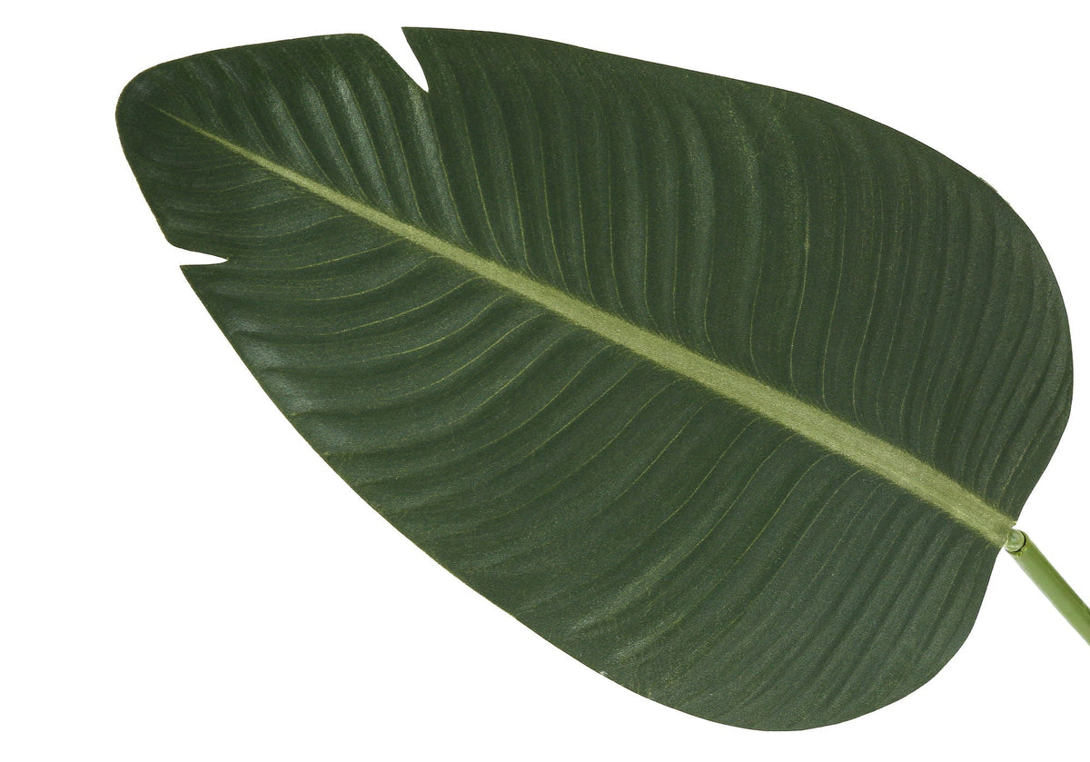 60" Tall Artificial Bird Of Paradise Tree with Lifelike Foliage - Black/Green, photo 2 of 4