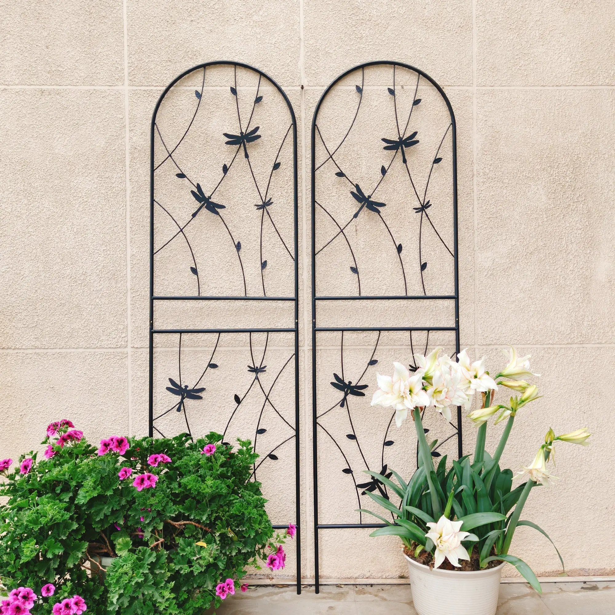 4 Pack Metal Garden Trellis for Climbing Plants by HouseOfZazla