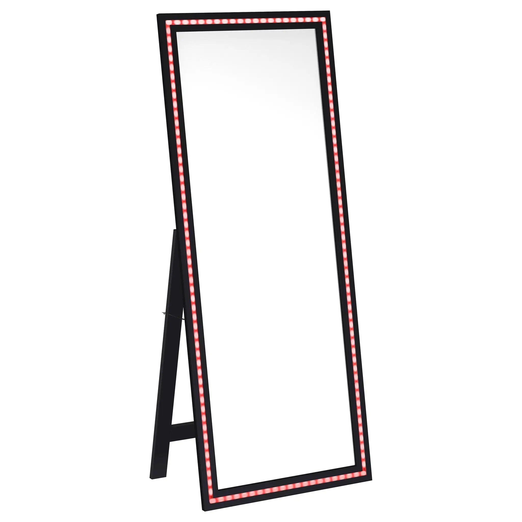 Windrose 28 x 67 Inch Tempered LED Standing Mirror Black by Unique Piece Furniture