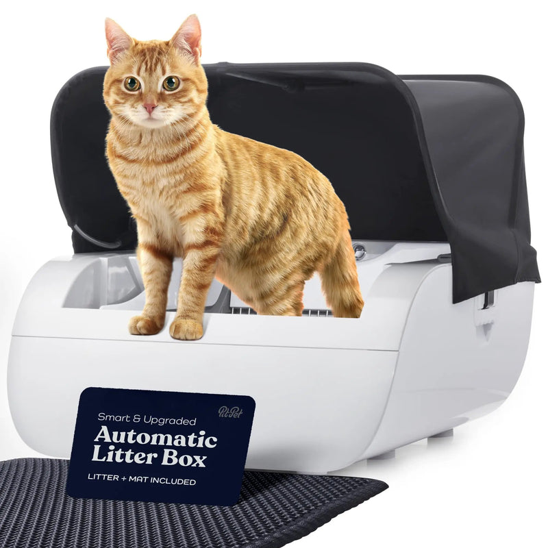 Smart Cat Litter Box With Wide Opening by HouseOfZazla