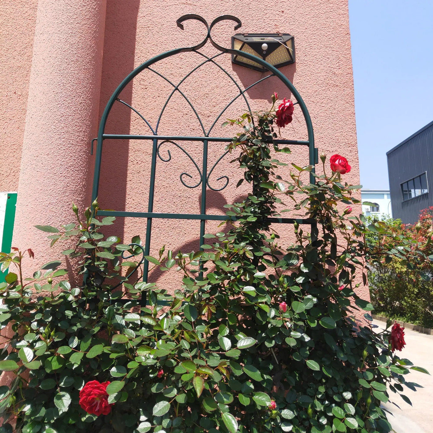 Metal Garden Rustproof Trellis For Climbing Plants Outdoor Flower Support by HouseOfZazla
