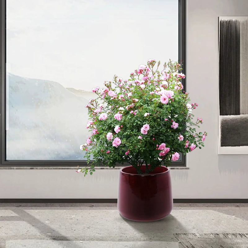 4 Pieces Planter Pot, Indoor Outdoor Flowerpot For Patio, Garden, Or Windowsills - Bean Paste Red by HouseOfZazla