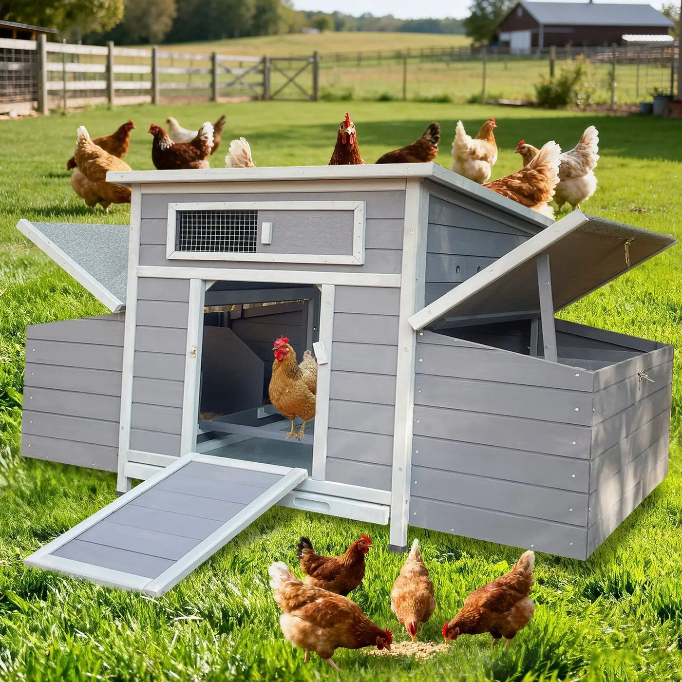 Large Wooden Chicken Coop Outdoor Hen House with Nesting Boxes by HouseOfZazla