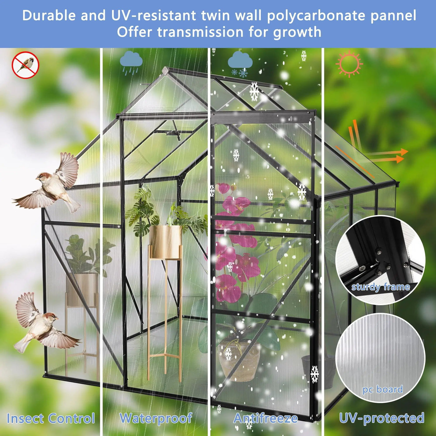 Polycarbonate house Raised Base And Anchor Aluminum Heavy Duty Walk-In houses For Outdoor Backyard In All Season by HouseOfZazla