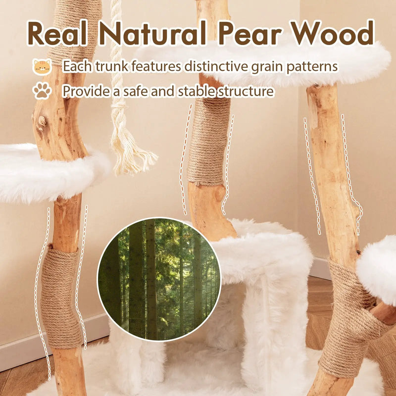 66 Inch Tall Solid Wood Cat Tree Modern Wooden Cat Tower with Perch-White by DirectDeals