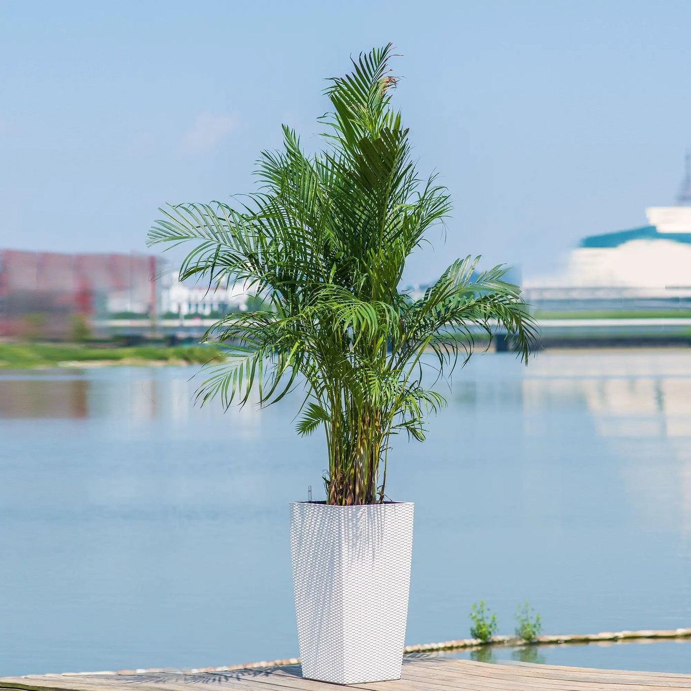 Indoor Outdoor Planter With Automatic Watering System by HouseOfZazla