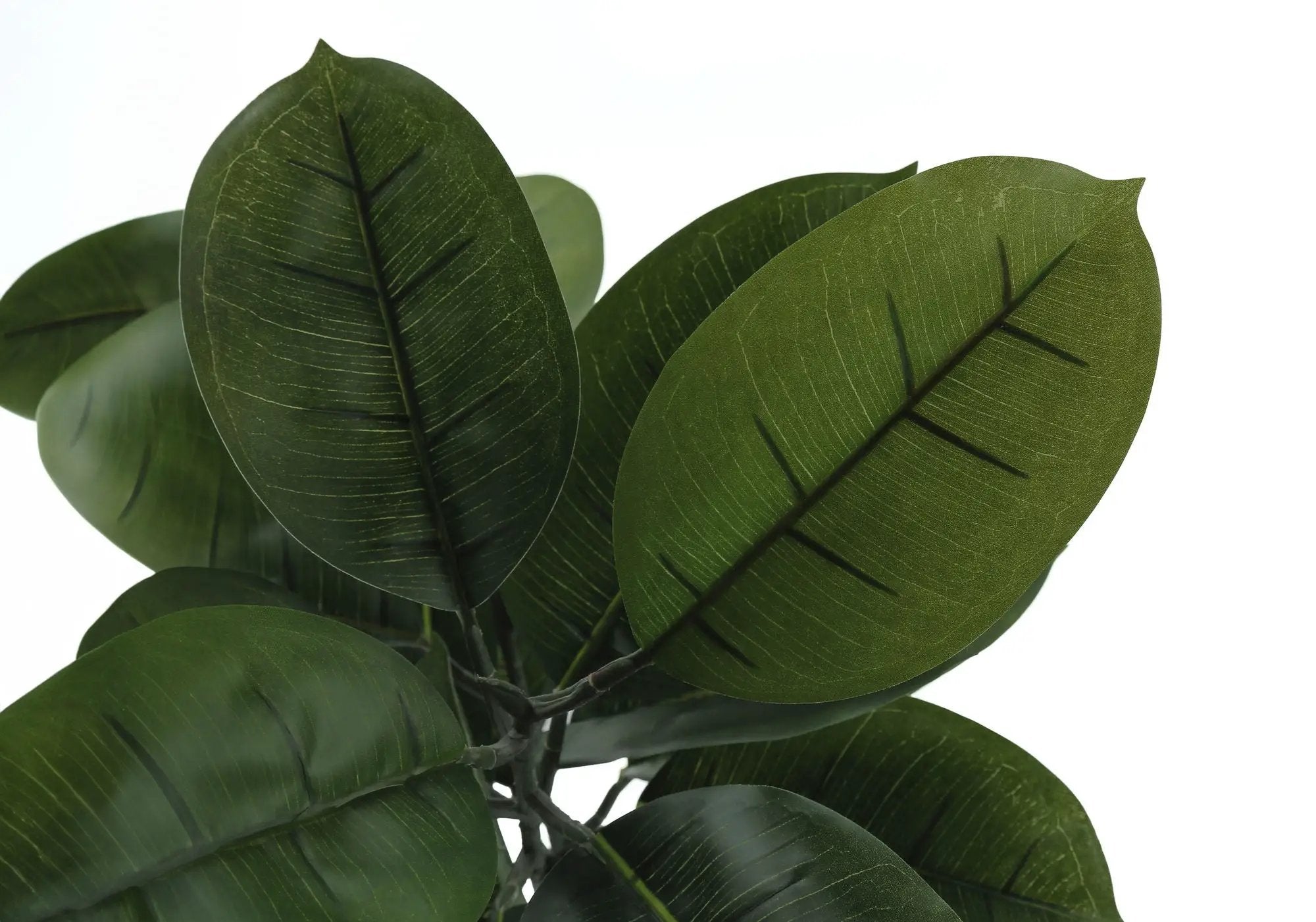 52" Tall, Artificial Plant, Rubber Tree, Indoor, Faux, Fake, Floor, Greenery, Potted, Real Touch, Decorative - Green / Black by Unique Piece Furniture