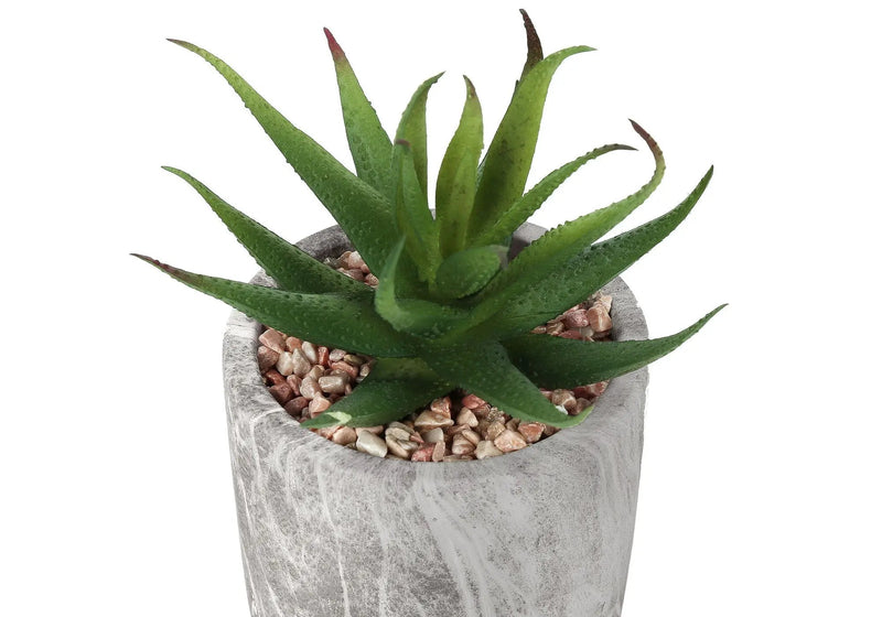 6" Tall Artificial Succulent Plants, Set of 2 by HouseOfZazla