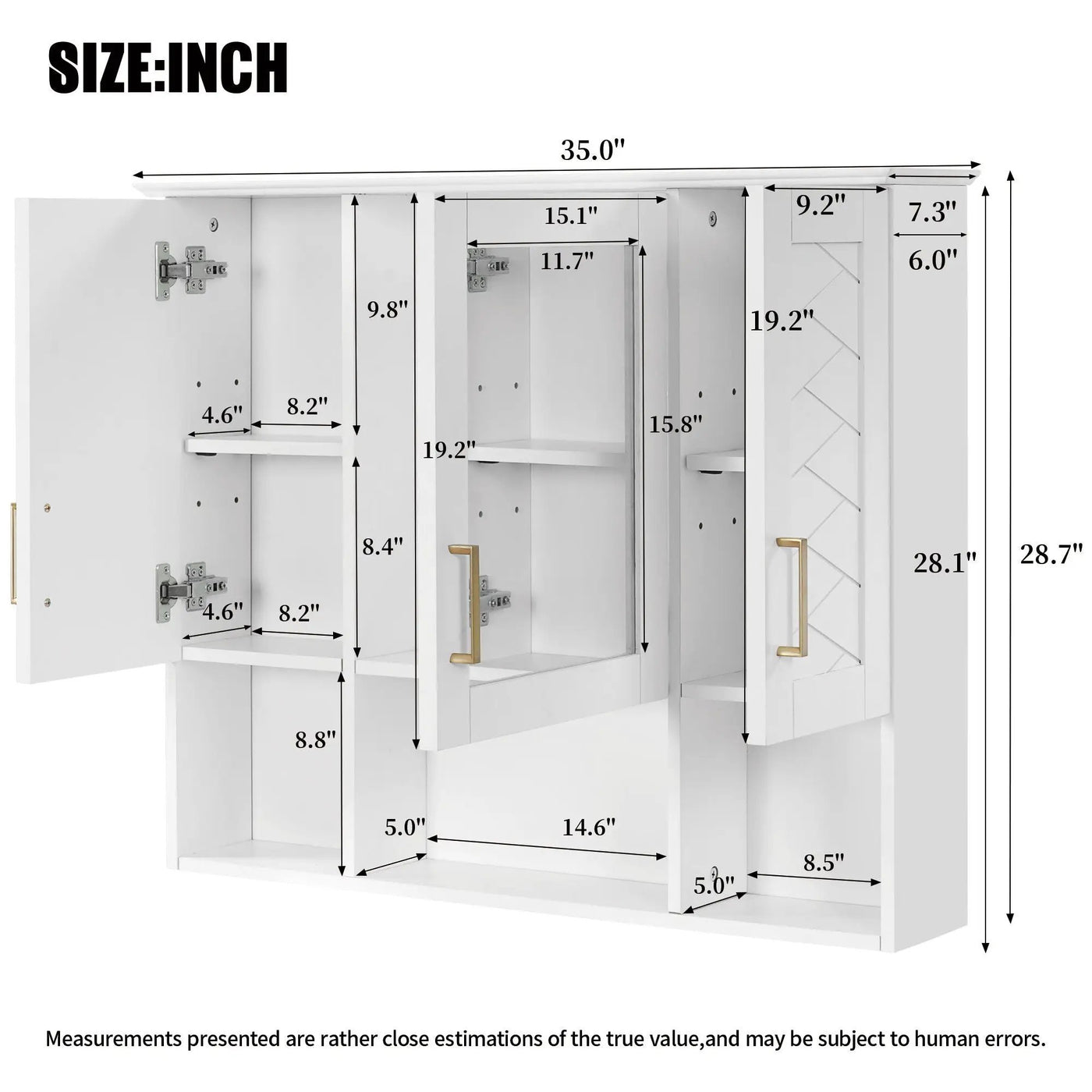Modern Wall Mounted Medicine Cabinet with Adjustable Shelves and Soft Close Doors by HouseOfZazla