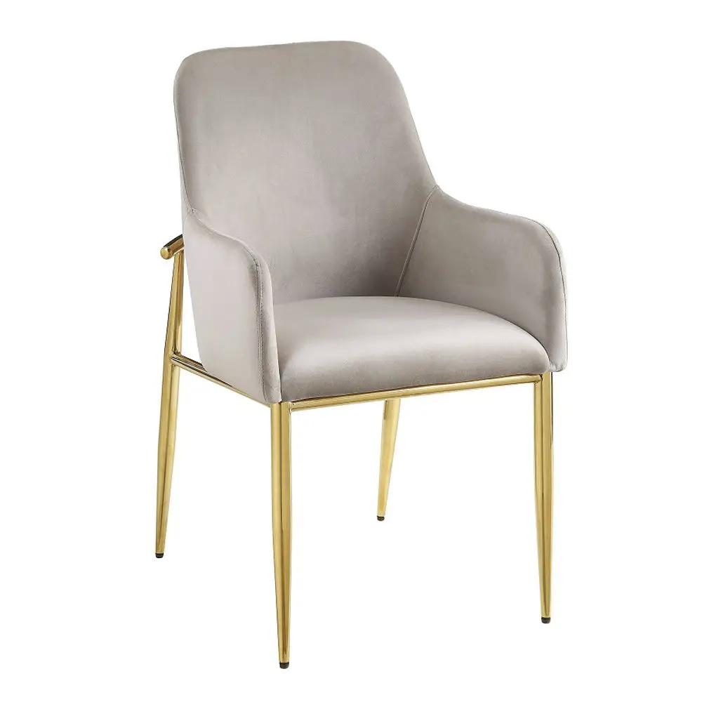 Barnard - Side Chair (Set of 2) - Gray Velvet & Mirrored Gold by Unique Piece Furniture
