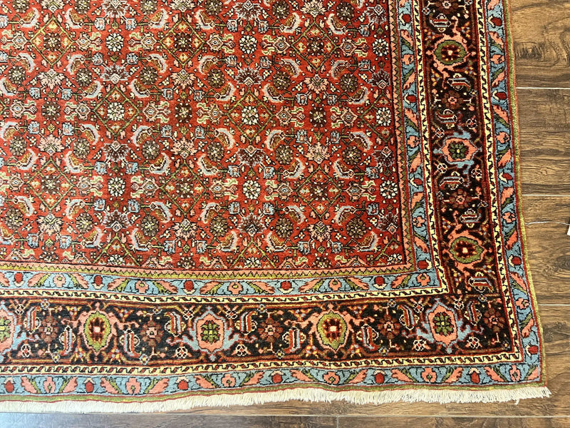 Antique Persian Bidjar Rug 5x7, Repeated Allover Herati Pattern, Red, Handmade Wool Carpet by Jewel Rugs