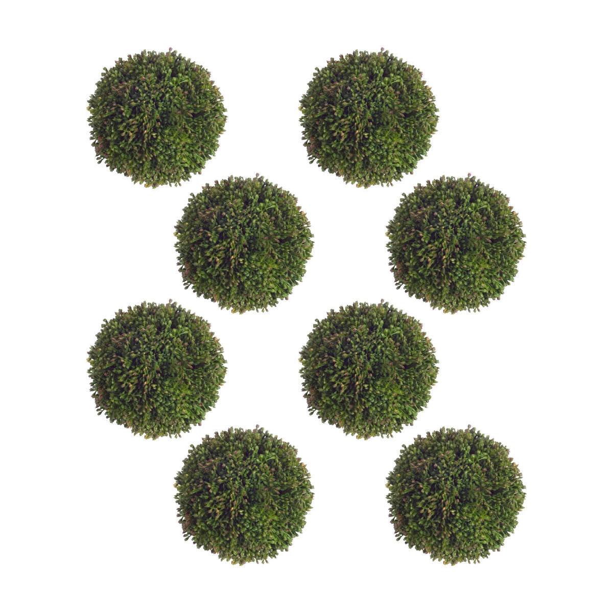 Boxwood Sedum Orb (Set of 8)