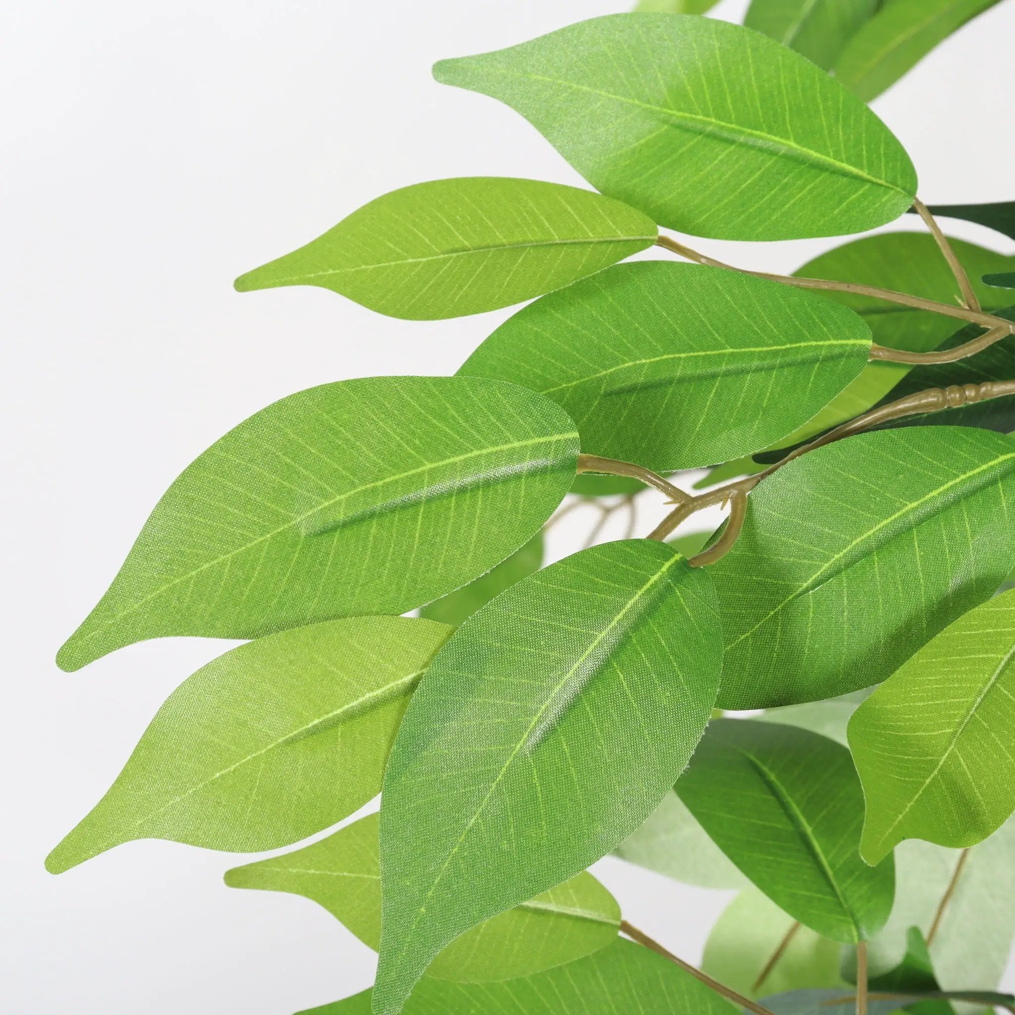6Ft Artificial Ficus Tree With Natural Trunk In Pot For Indoor Home Office Decor - Green Leaves by HouseOfZazla