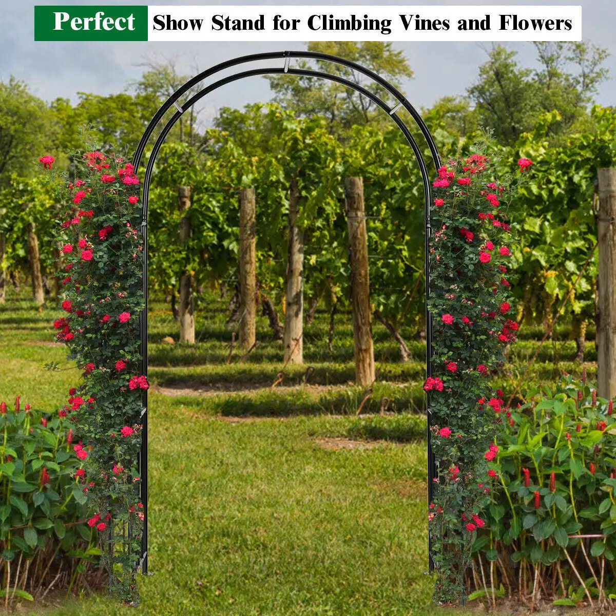 7.2 Feet Garden Decoration Climbing Plants Arch by DirectDeals