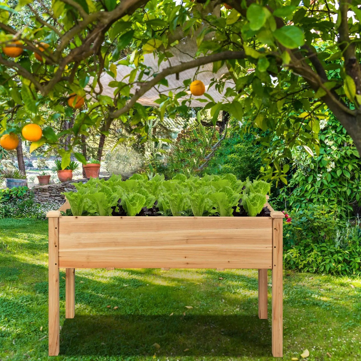 Wooden Raised Vegetable Garden Bed Elevated Grow Vegetable Planter by DirectDeals