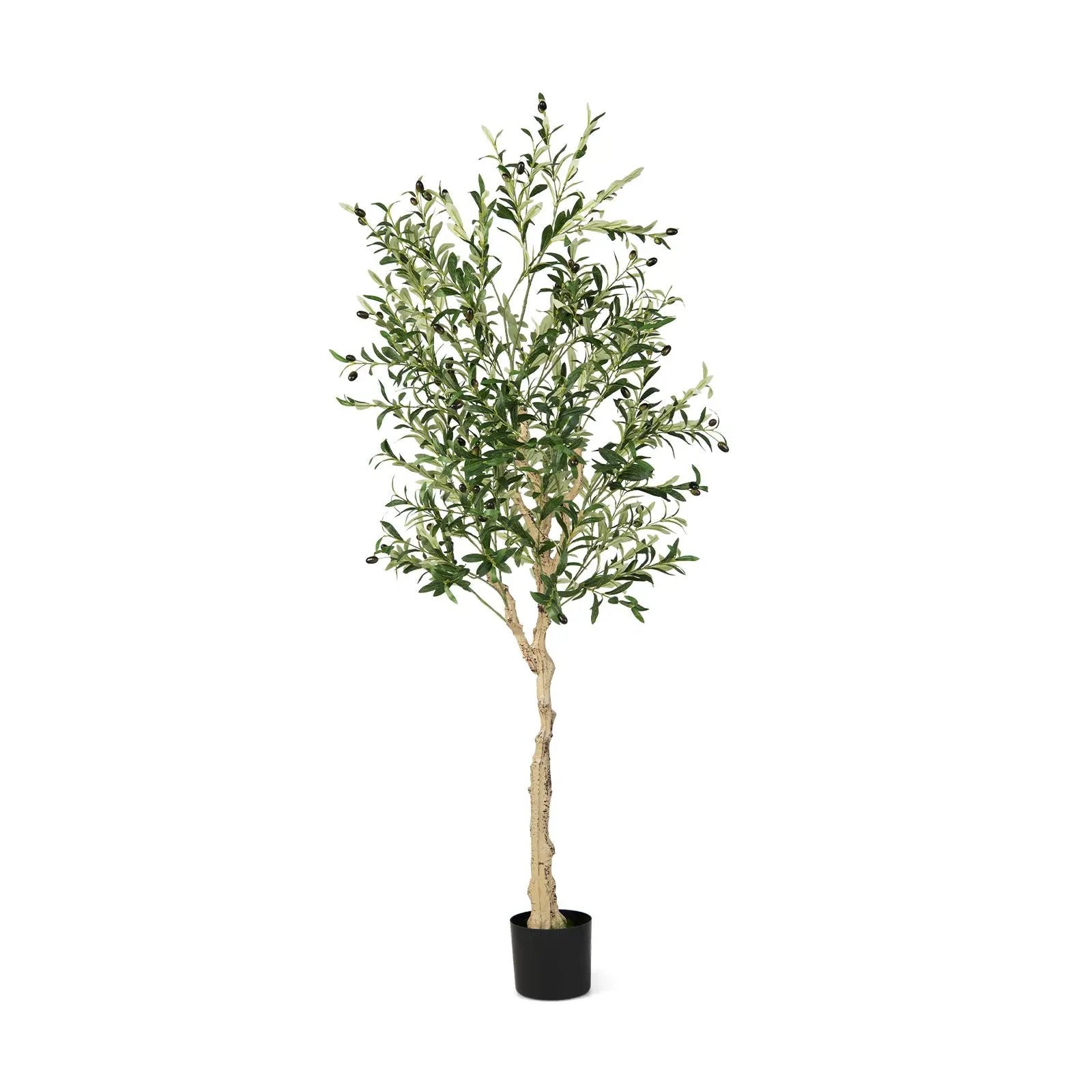 6 Feet Artificial Olive Tree in Cement Pot by DirectDeals