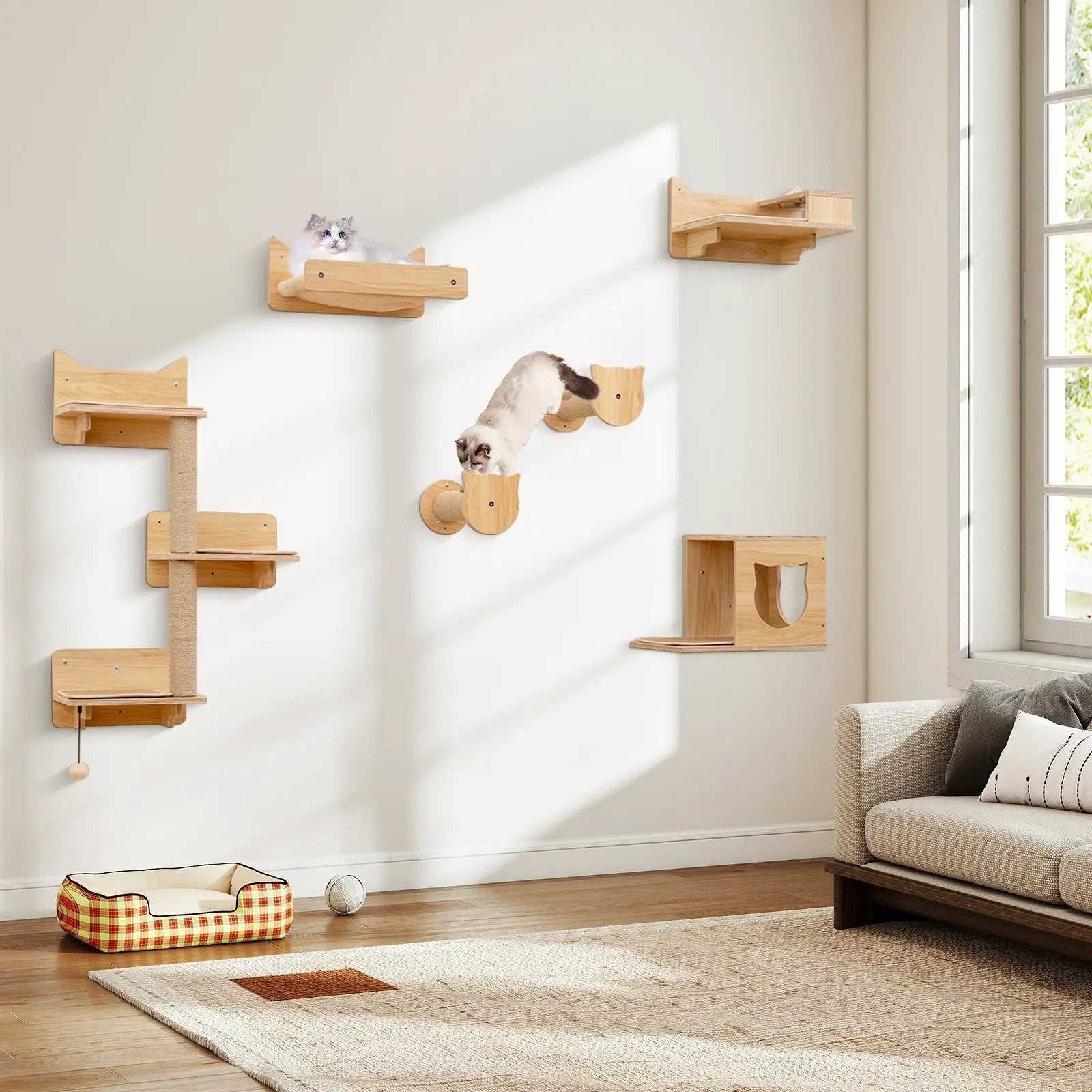 6 Pieces Cat Wall Furniture Set Kitten Wall Mounted Shelves-Natural by DirectDeals