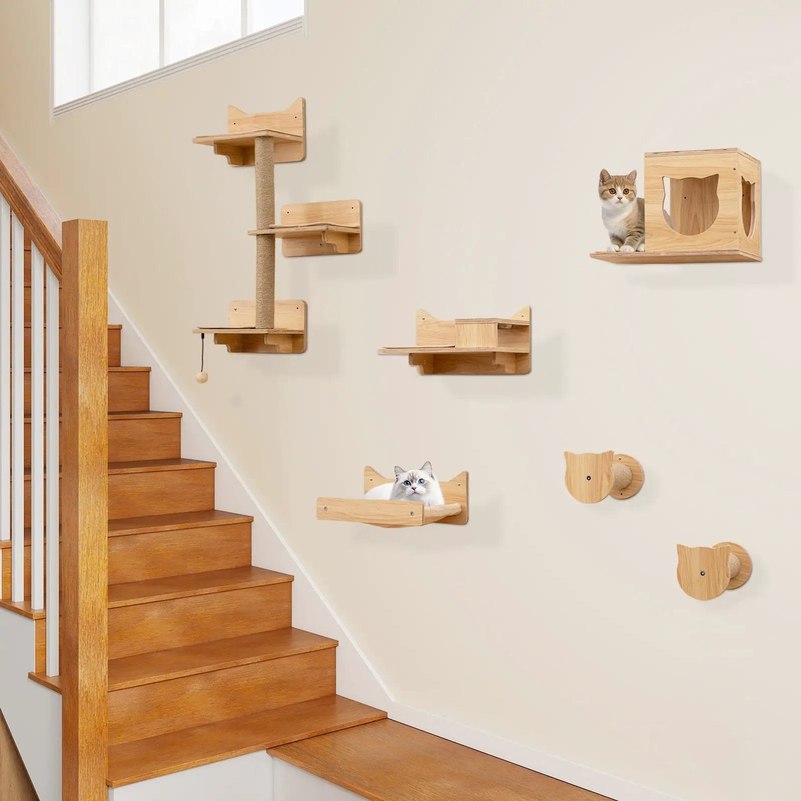 6 Pieces Cat Wall Furniture Set Kitten Wall Mounted Shelves-Natural by DirectDeals