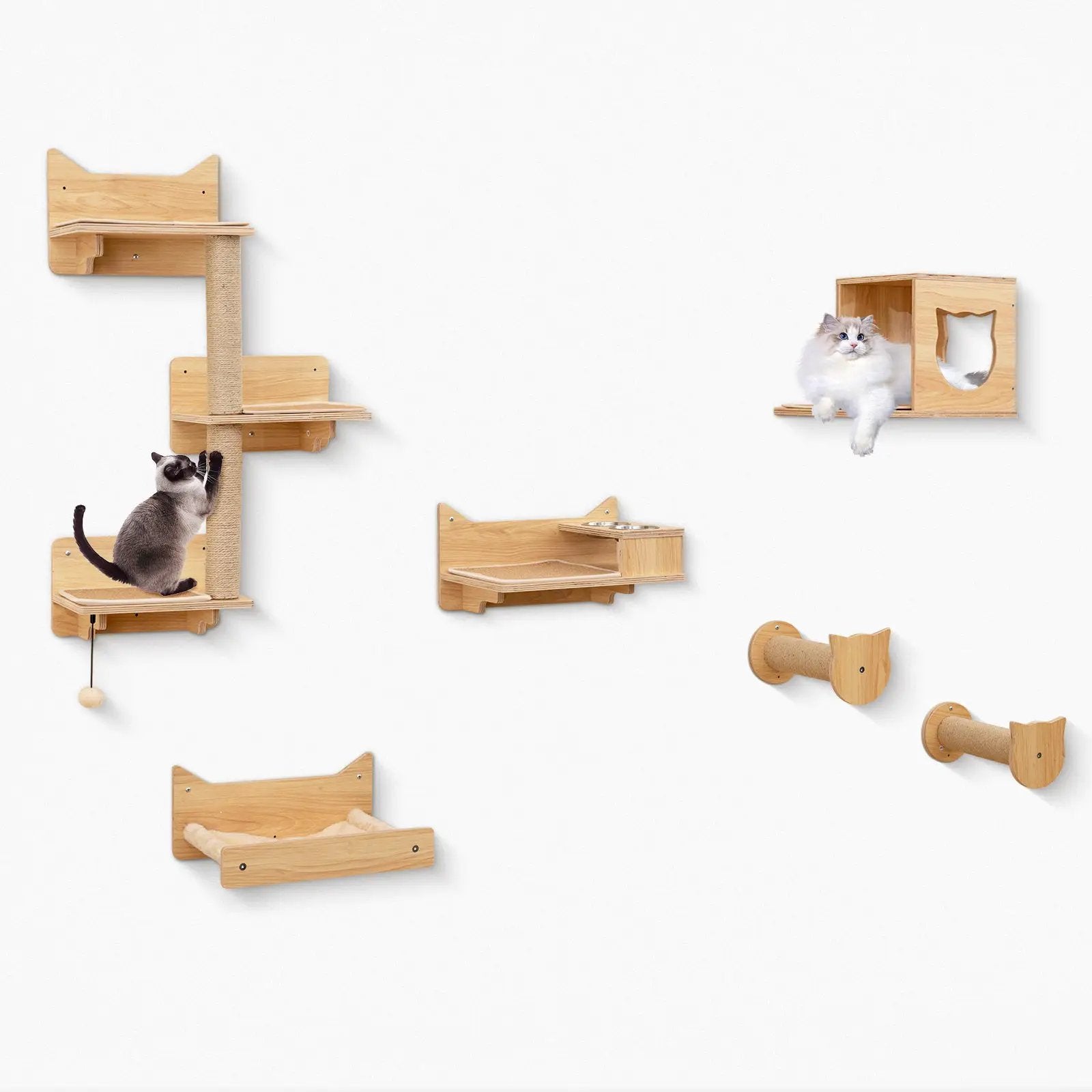 6 Pieces Cat Wall Furniture Set Kitten Wall Mounted Shelves-Natural by DirectDeals