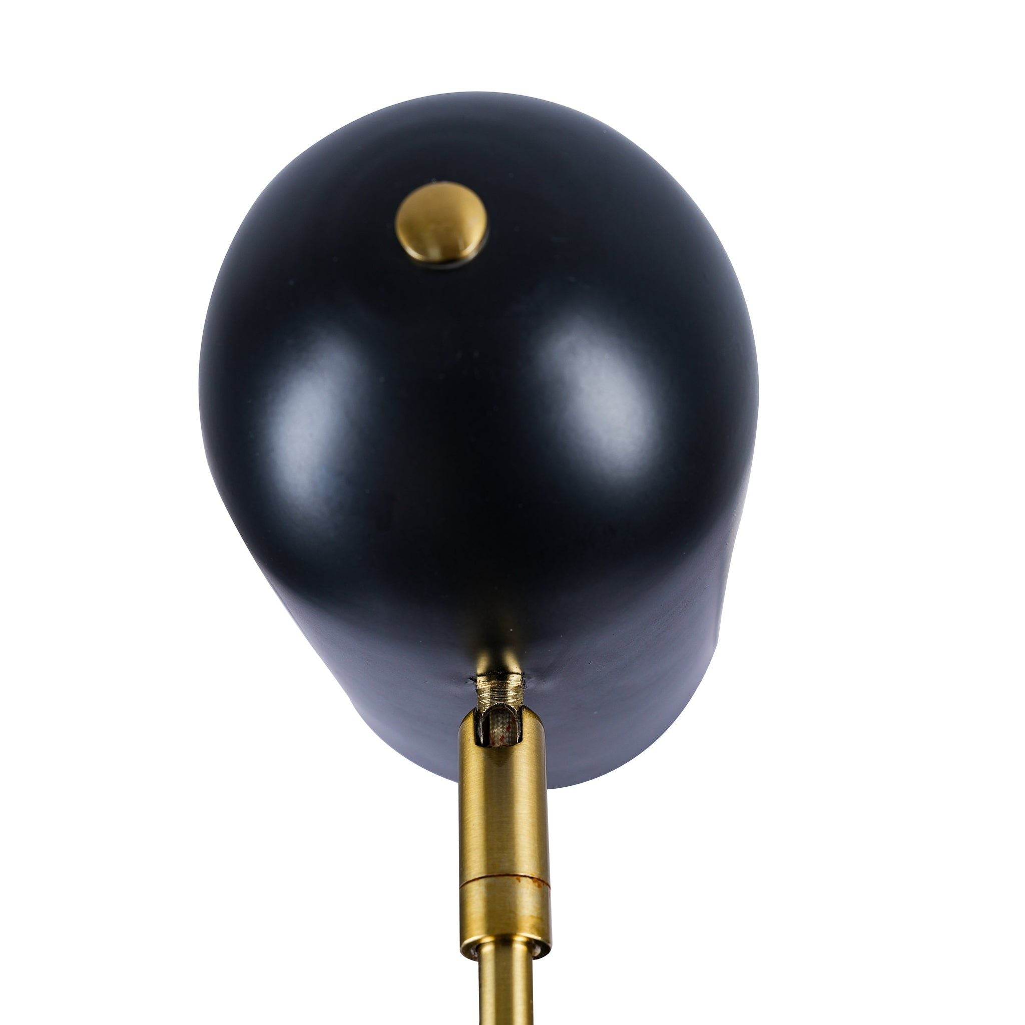 Lumora - Table Lamp - Black by HouseOfZazla