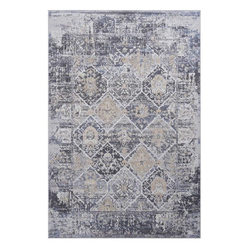 Payas - Traditional Area Rug by HouseOfZazla