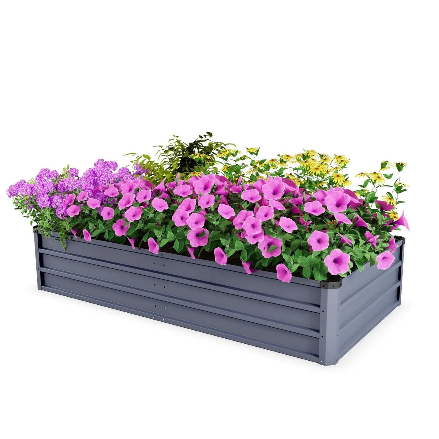 Large Garden Bed For Outdoor by HouseOfZazla
