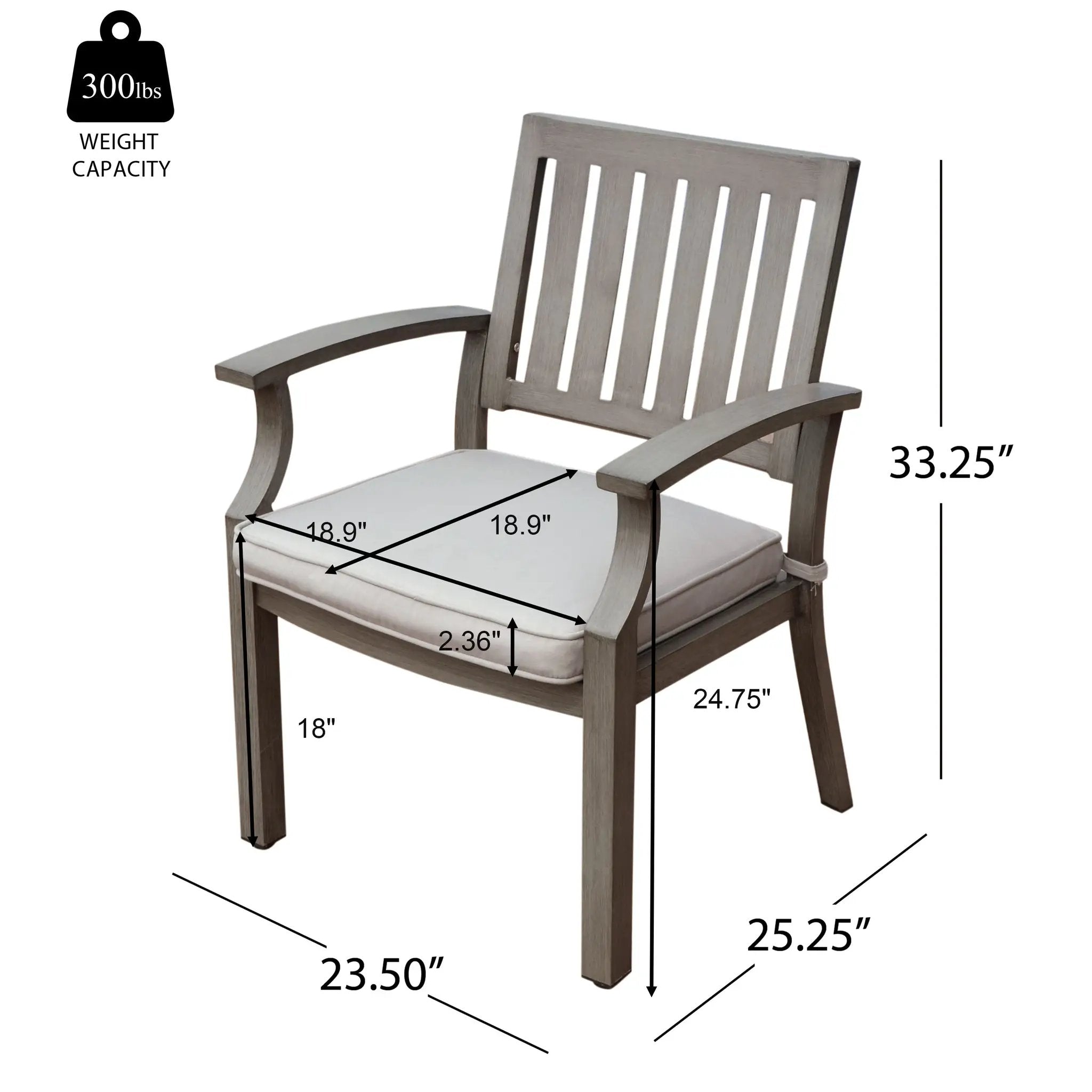 Outdoor Modern Aluminum Dining Chair with Cushion (Set of 2) by HouseOfZazla