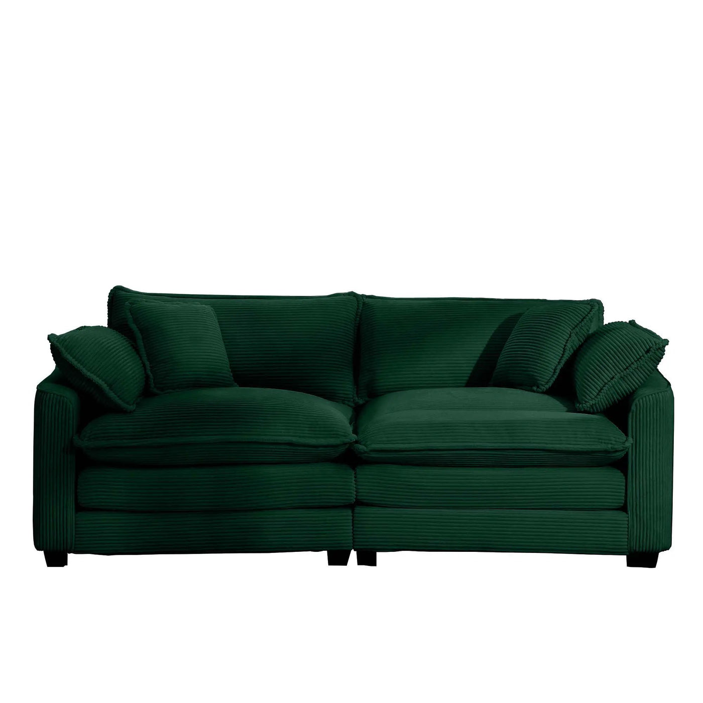 Modern 2 Seater With 4 Pillows, Upholstered Deep Seating Loveseat by HouseOfZazla