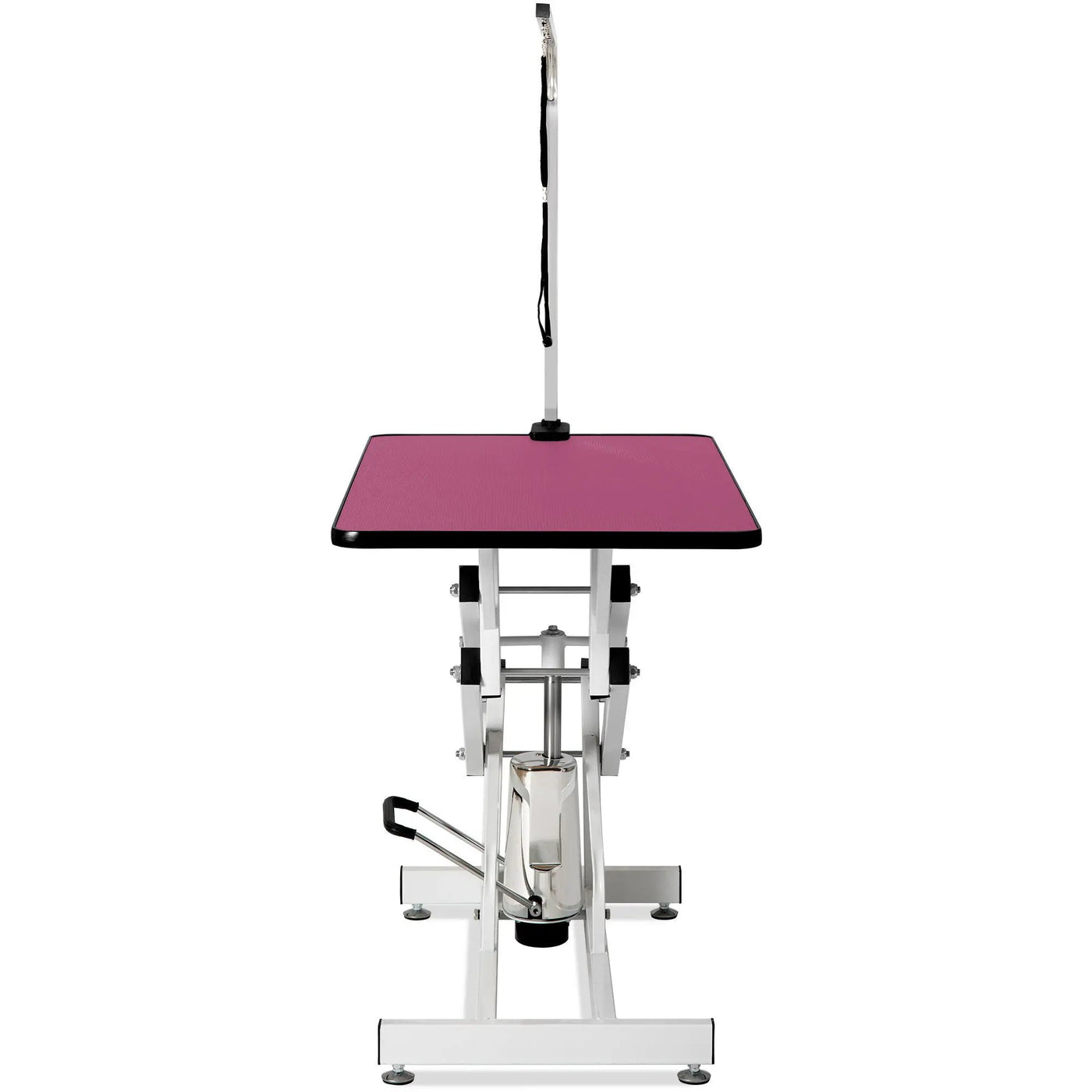 Hydraulic Pet Grooming Table by HouseOfZazla