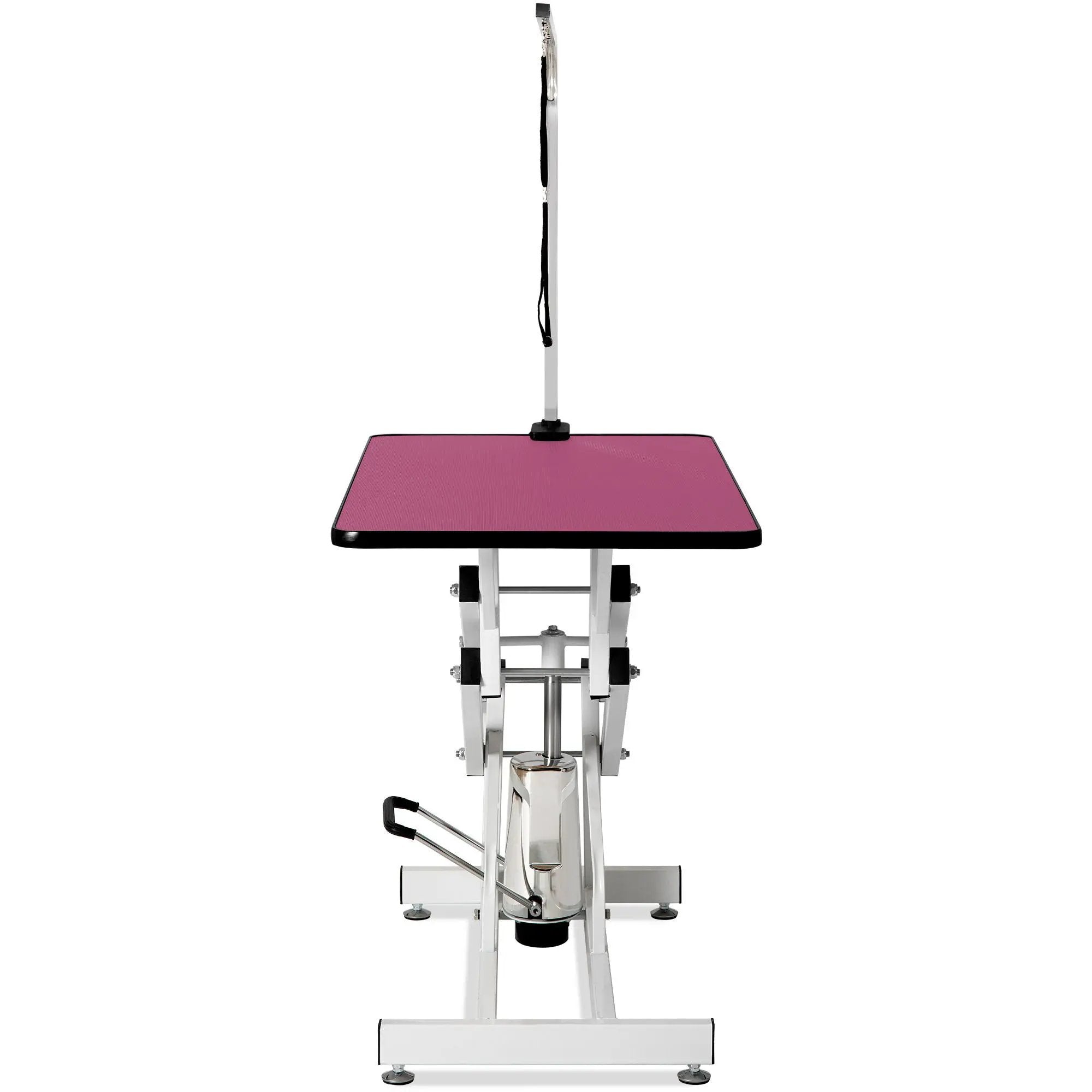 Hydraulic Pet Grooming Table by HouseOfZazla