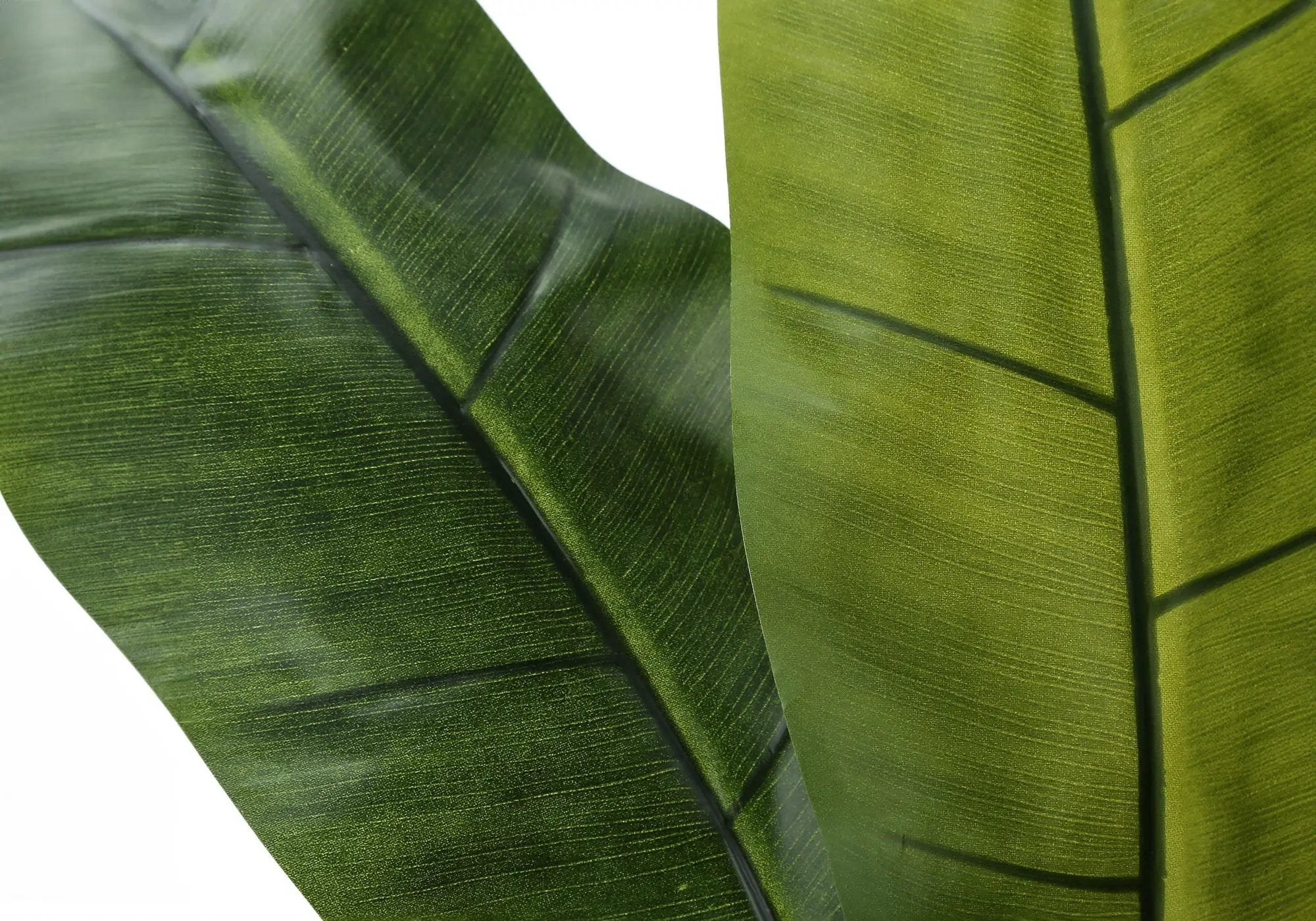 55" Tall Artificial Banana Tree Plant by HouseOfZazla