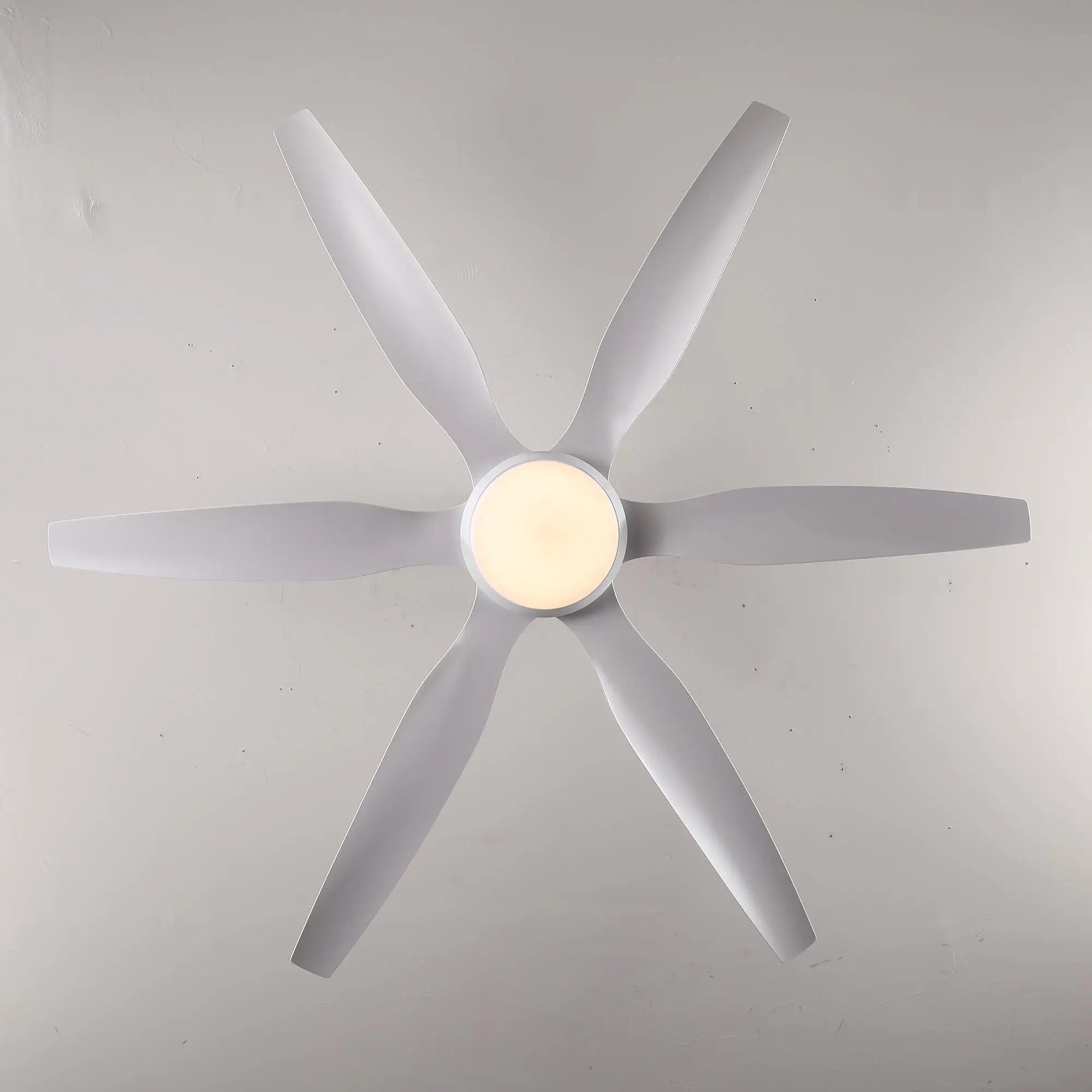 6 PCS ABS Blades 56" Ceiling Fan With Light Kit by HouseOfZazla