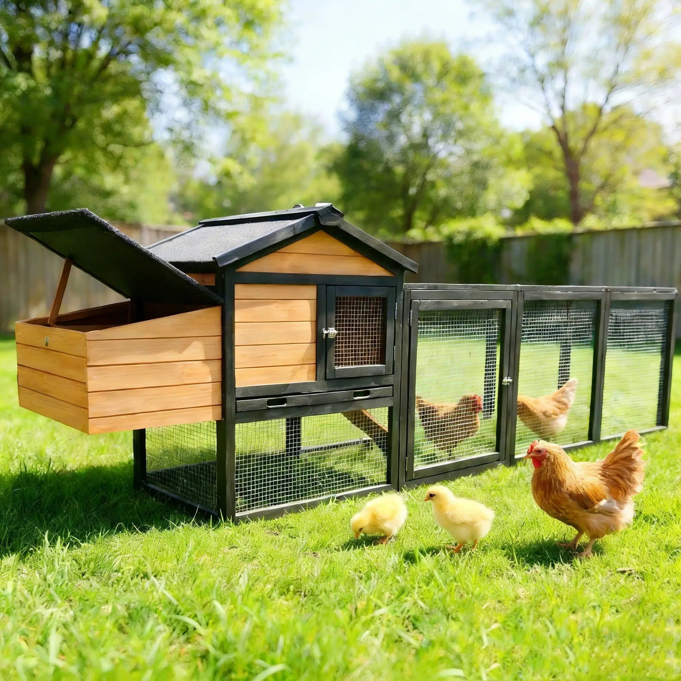 Chicken Coop With Run And Nesting Box by HouseOfZazla