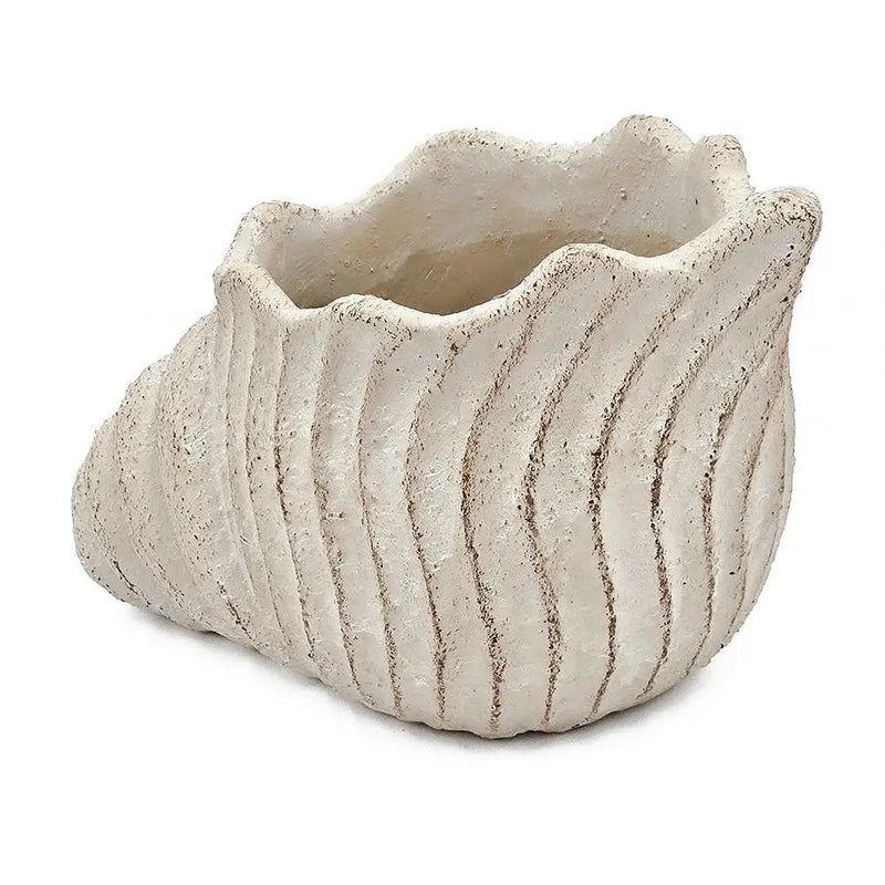 11.5x7x7' Sand and Cement Nautilus Shell Planter with Textured Beige Finish by HouseOfZazla