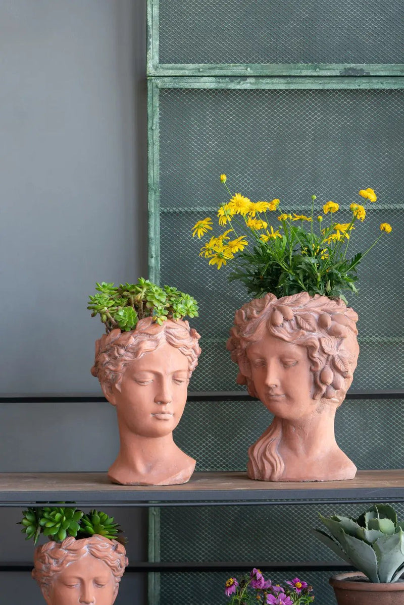 8X9X11.5" Head Bust Planter, Greek Style Cement Head Planter, Indoor Outdoor Home Garden Decor - Brown by HouseOfZazla